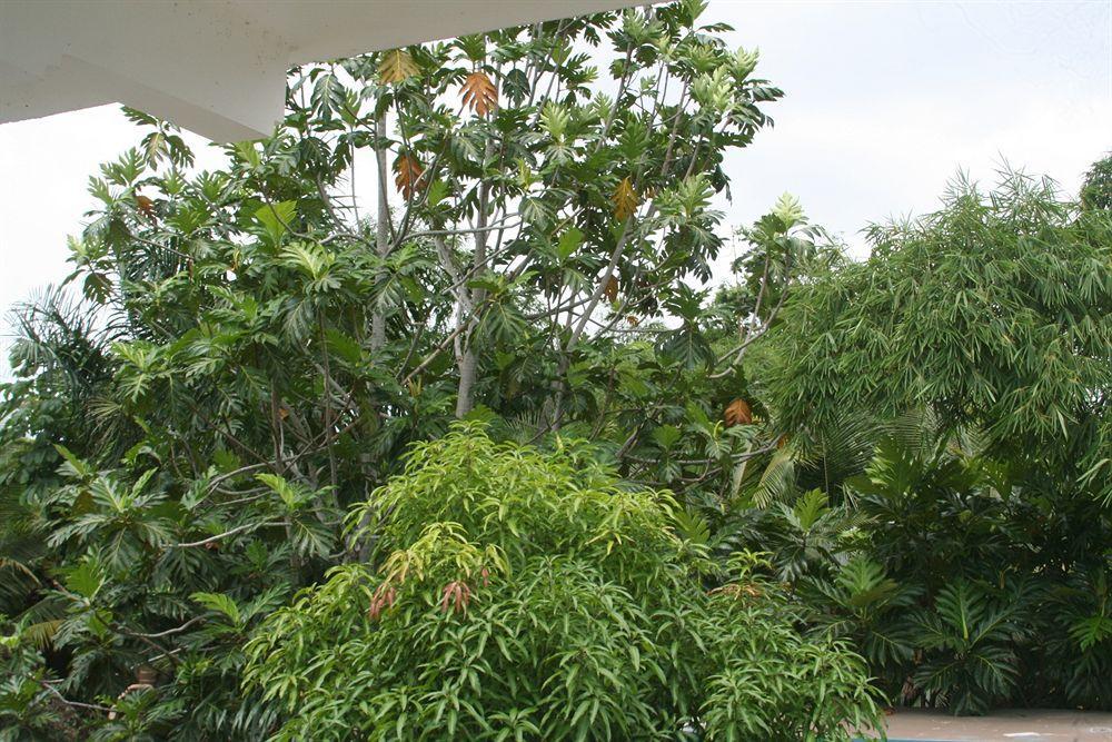 Pure Oasis Resort Negril Exterior photo