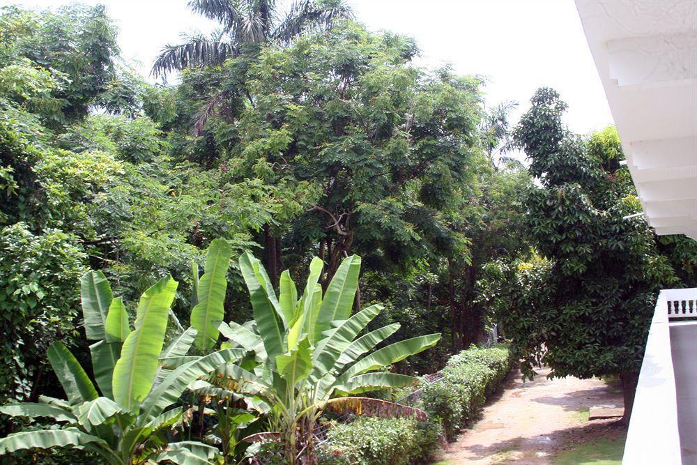 Pure Oasis Resort Negril Exterior photo